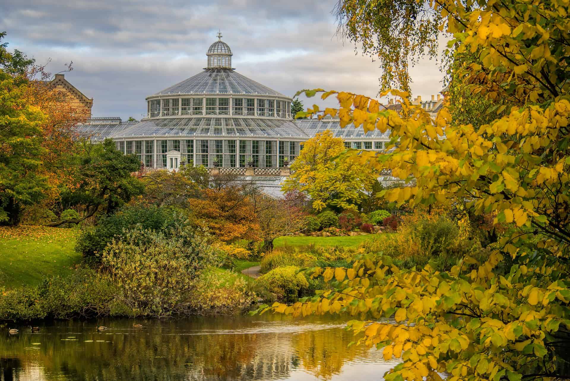 Copenhague en automne