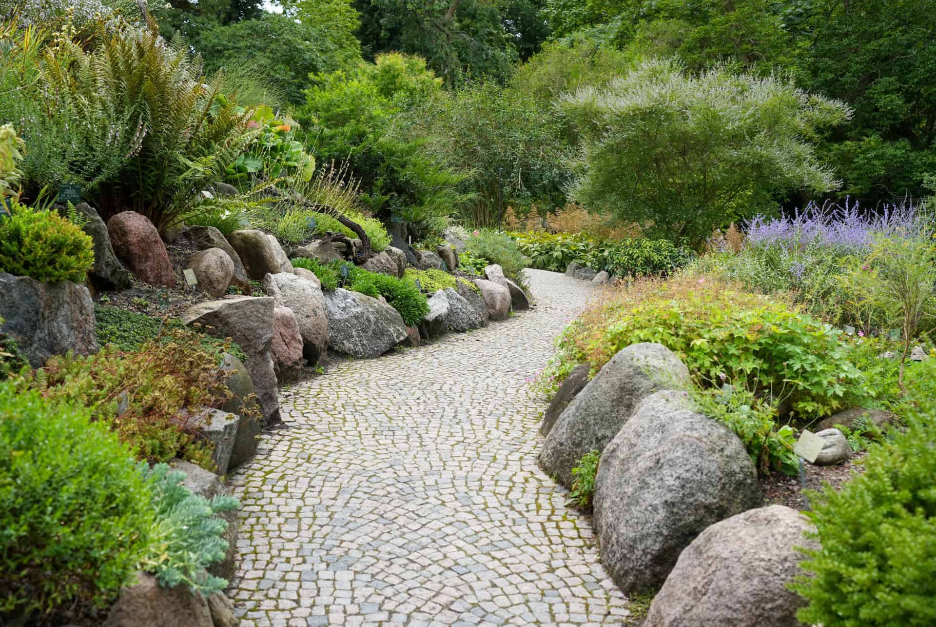allee botanisk have
