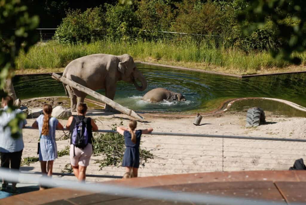 Entrée au Zoo de Copenhague