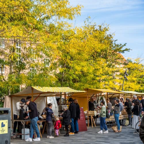 brocante bc
