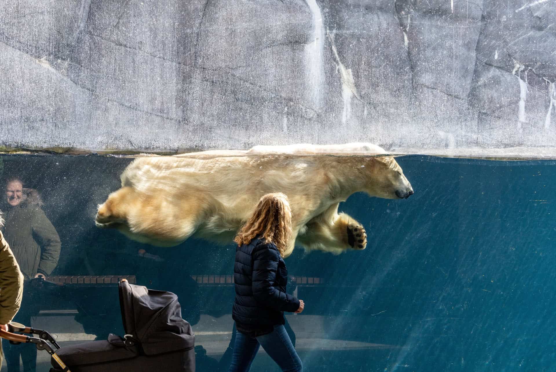 zoo copenhague