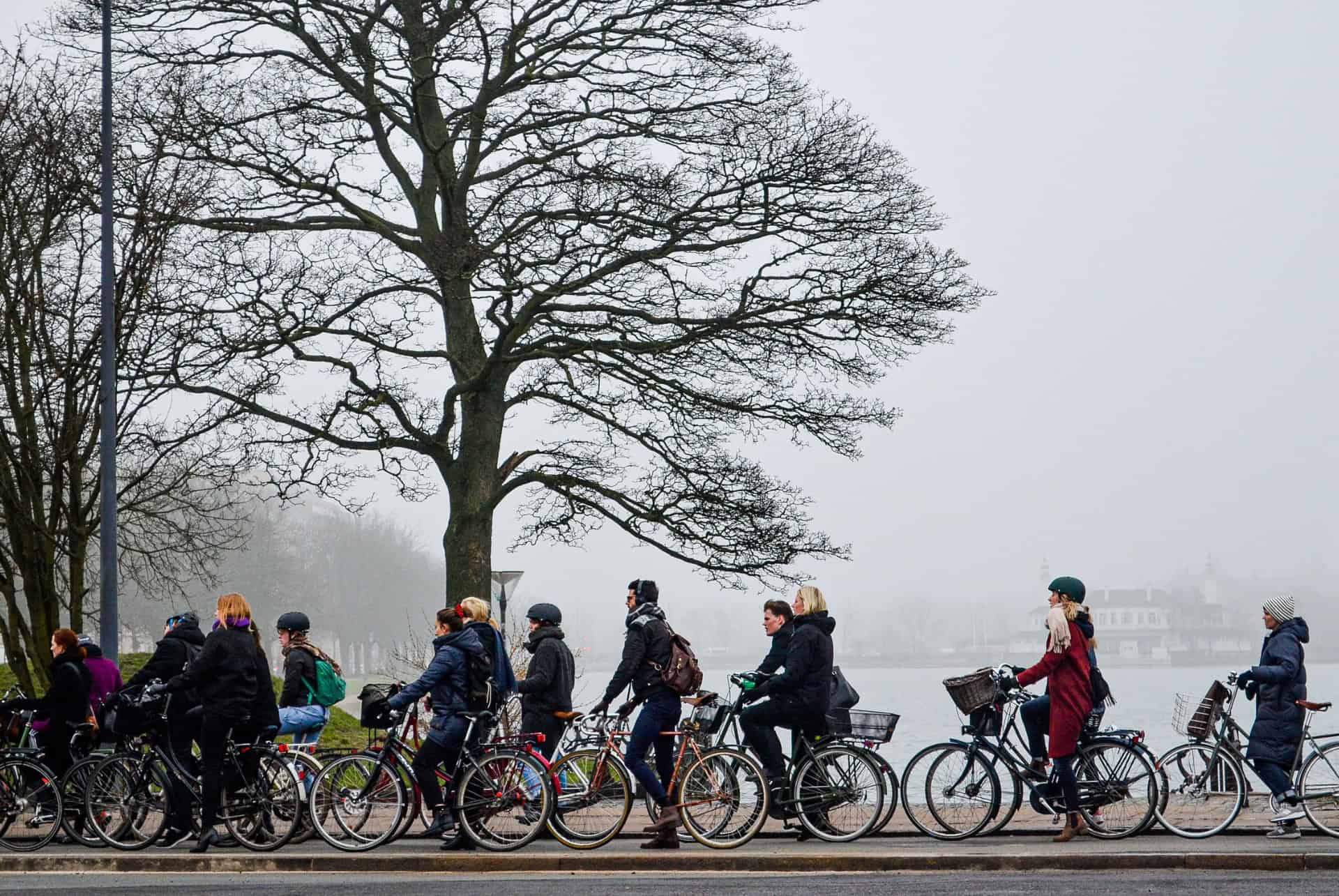 Copenhagen Tweed Ride