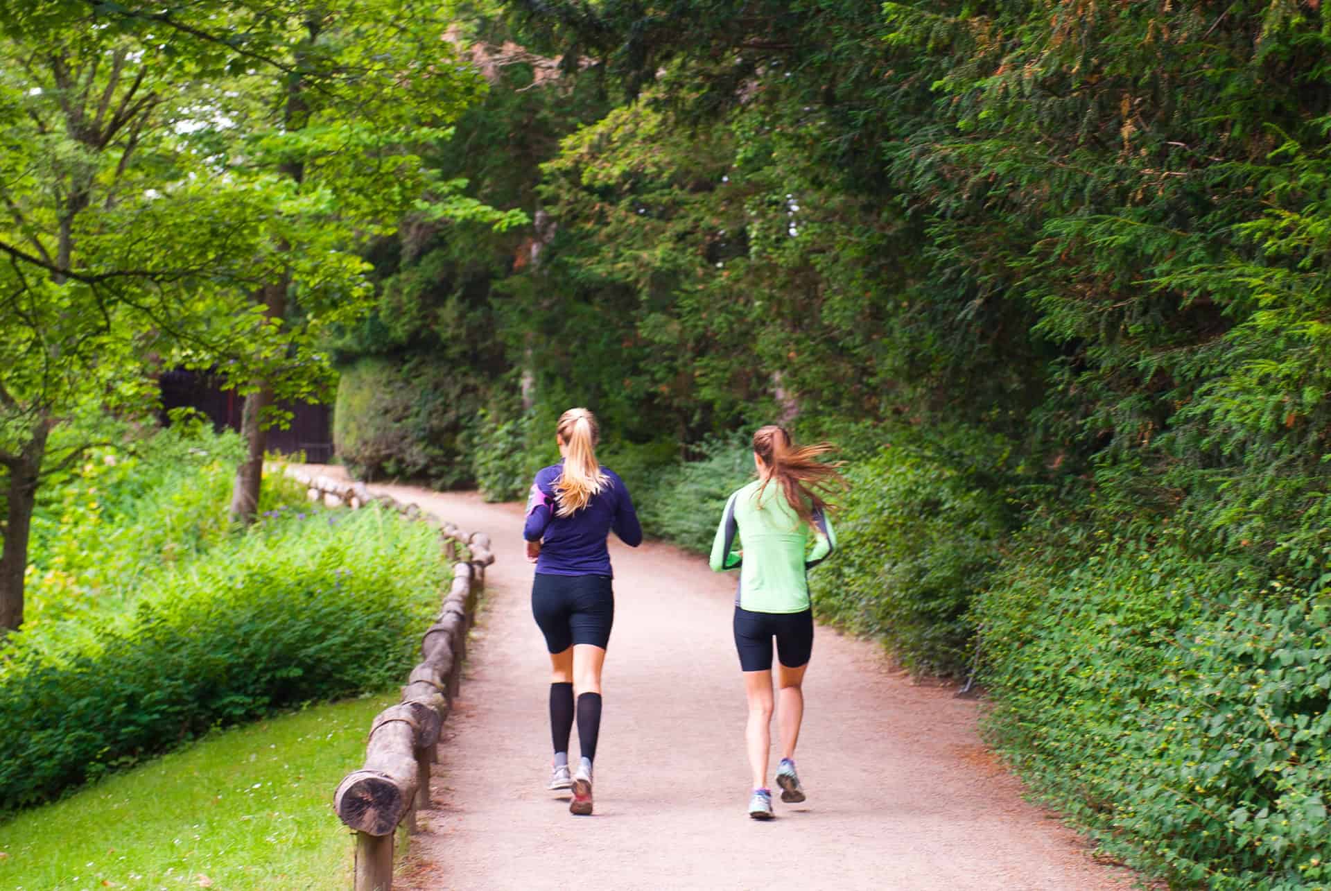Hermitage Run