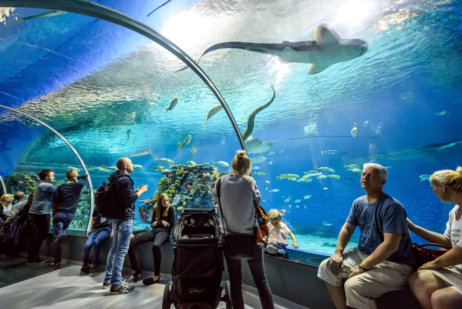 aquarium danemark que faire copenhague quand il pleut