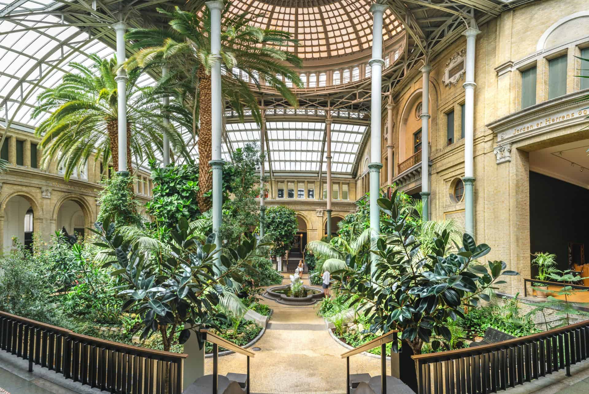 interieur glytotheque