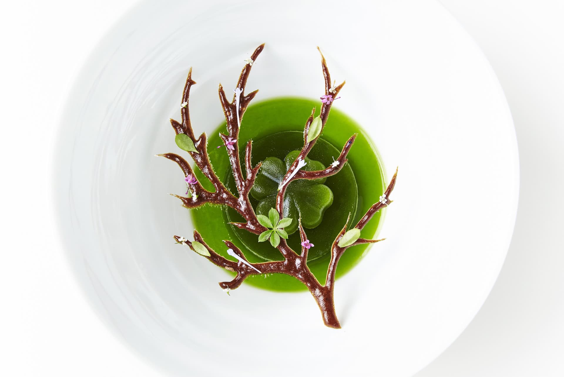 le geranium restaurant le geranium restaurant