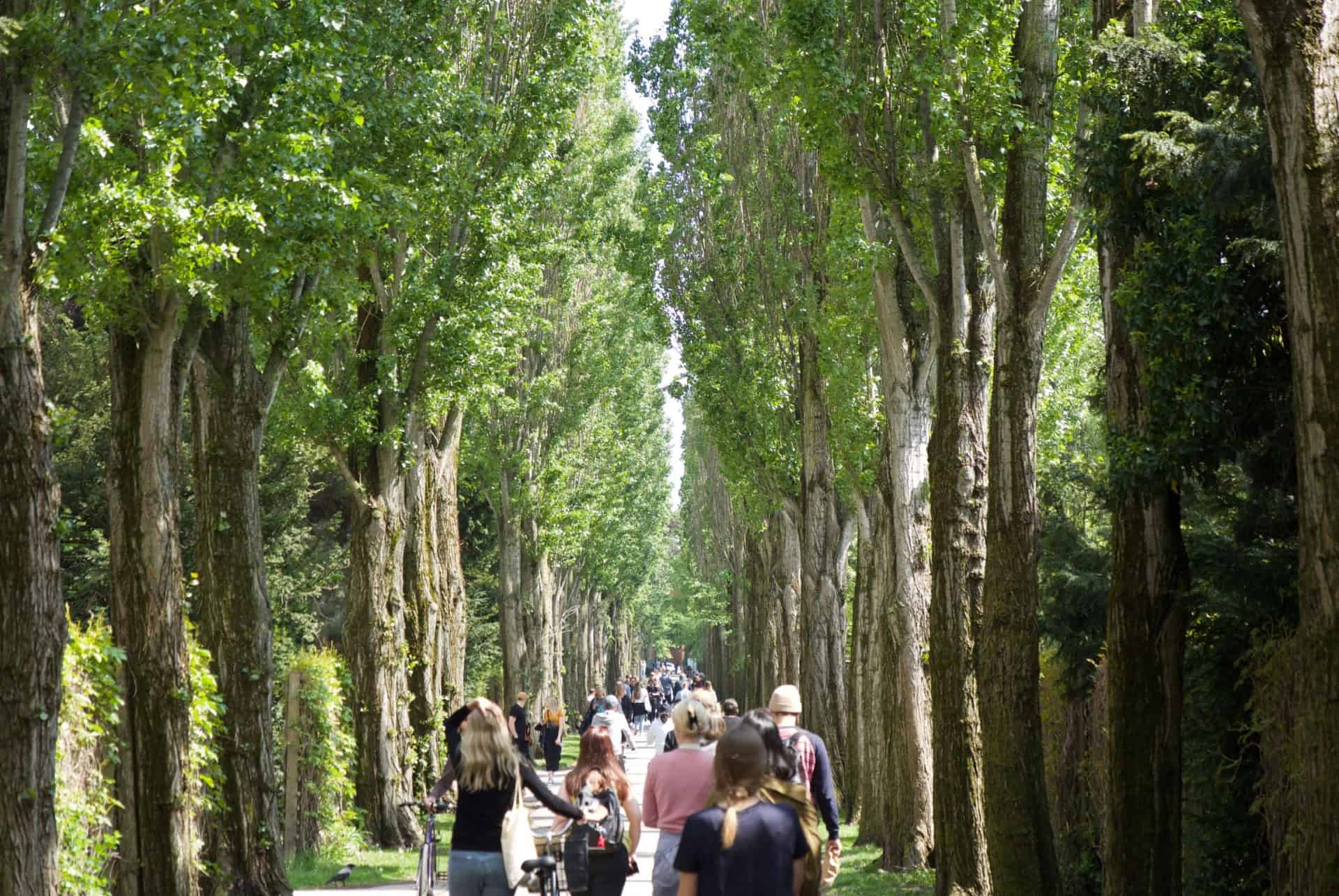 assistens kirkegard assistens kirkegard