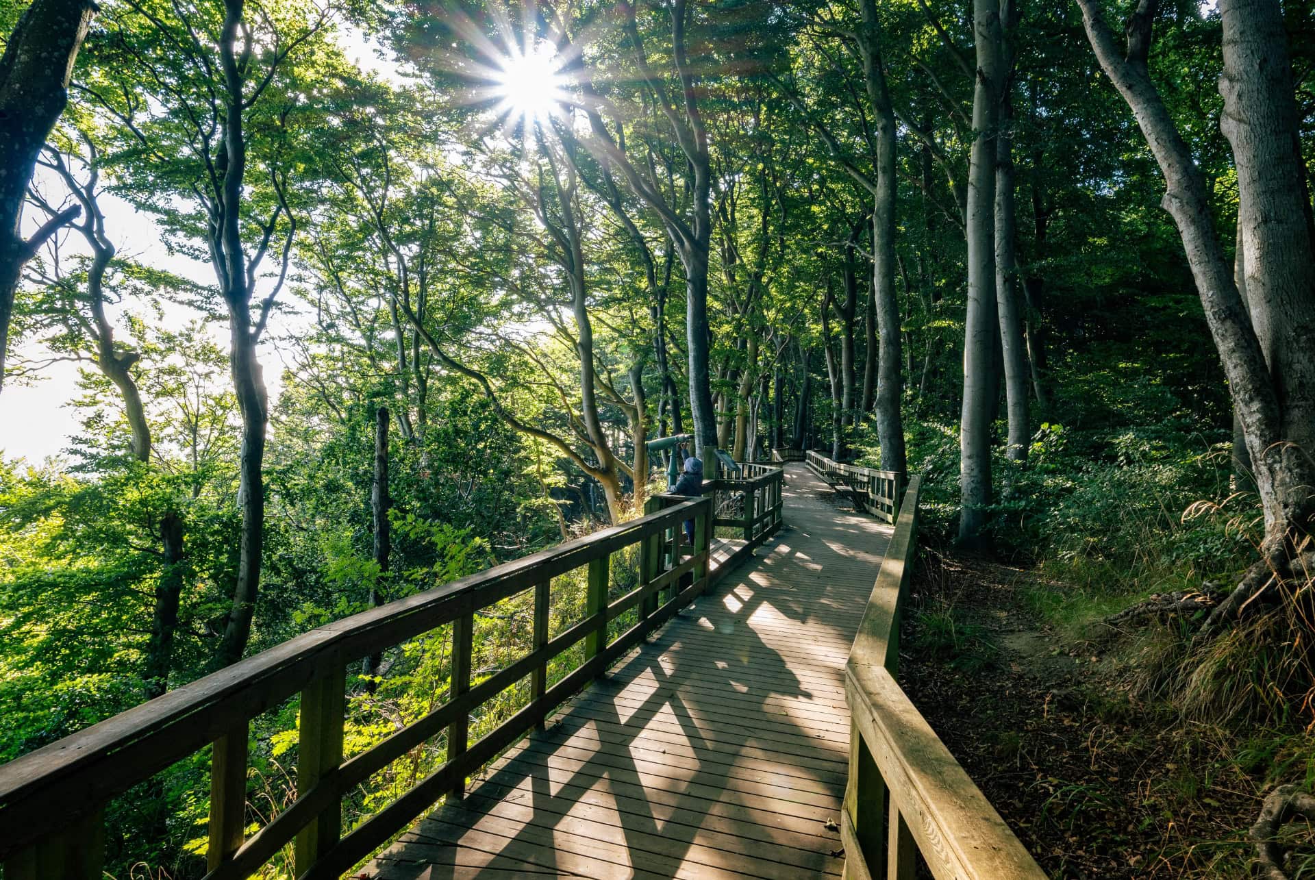 mons klint randonnnee mons klint randonnnee